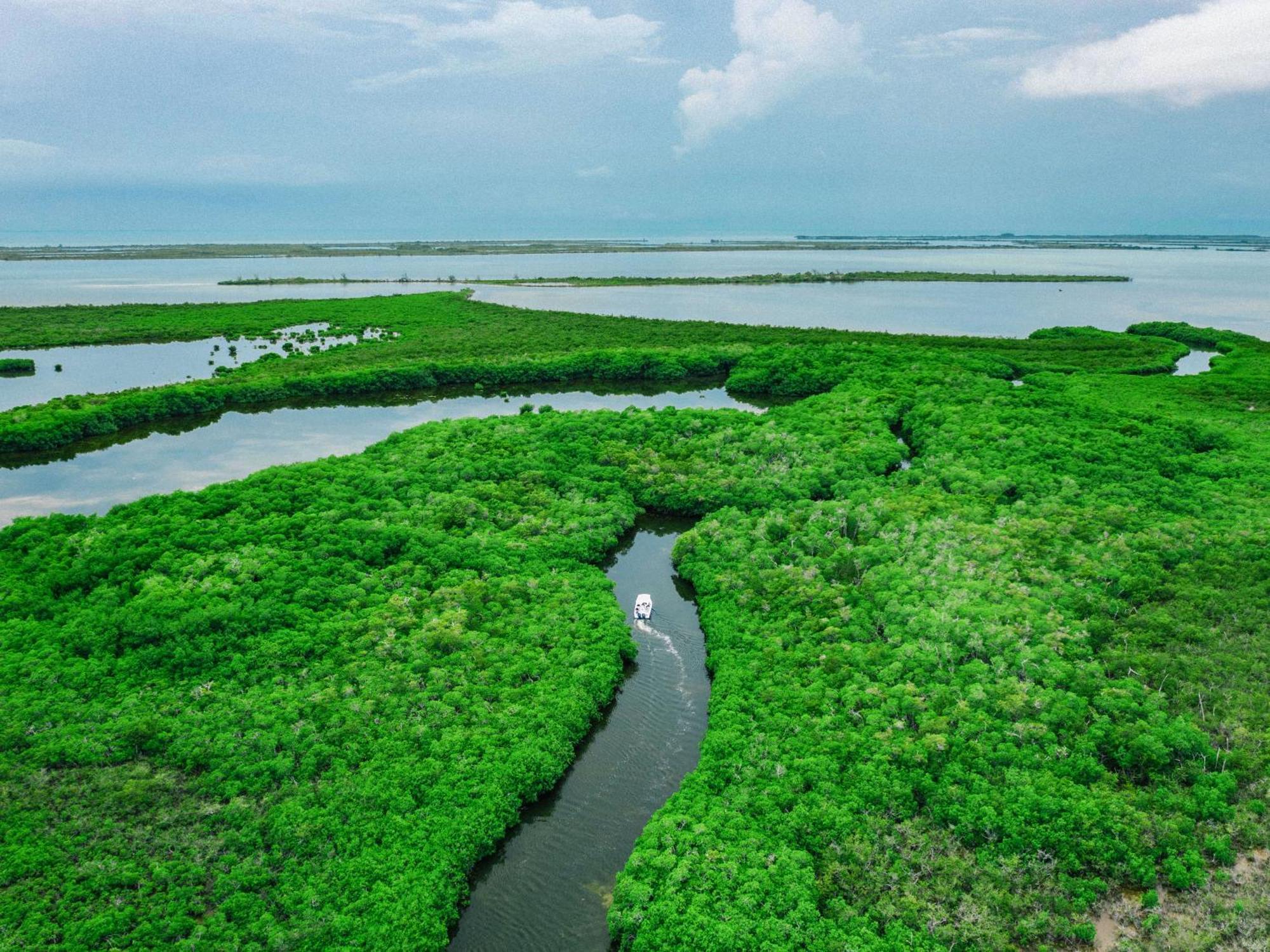 Orchid Bay Resort Corozal Zewnętrze zdjęcie