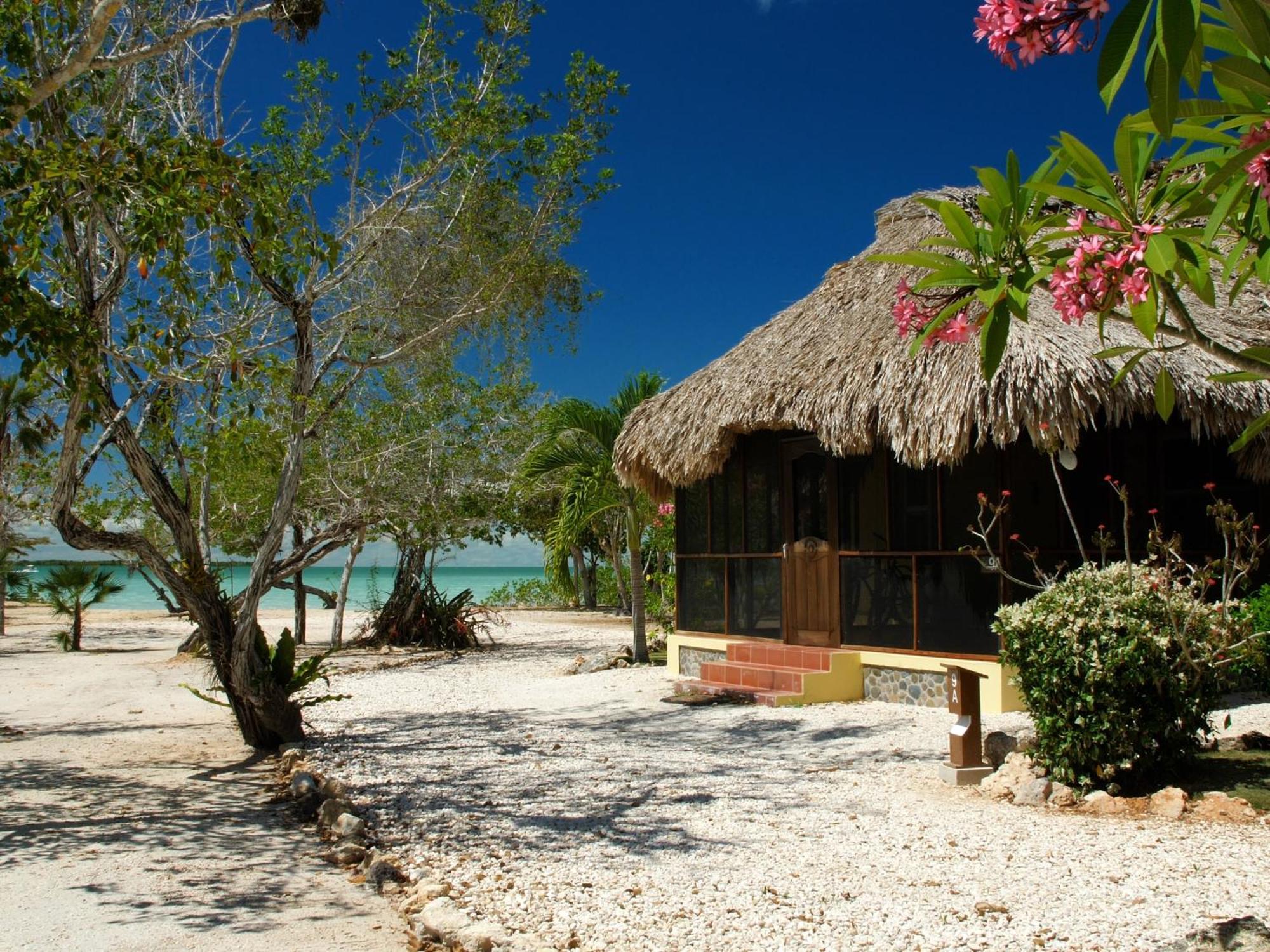 Orchid Bay Resort Corozal Pokój zdjęcie